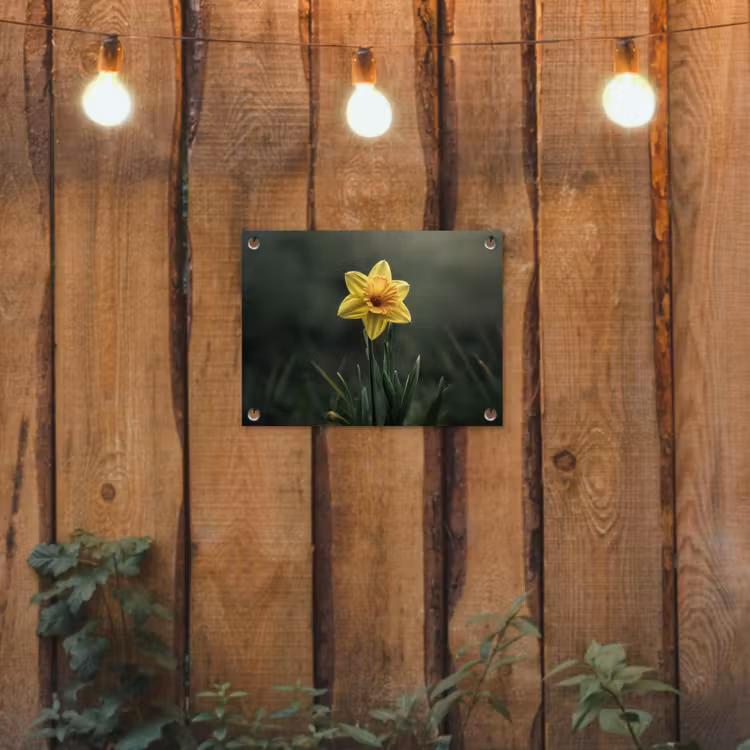 Tuinposter - Bloem - Narcis - Gras - Geel — 3