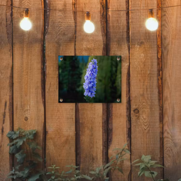 Tuinposter - Bloemen - Blauw - Dennenboom — 2