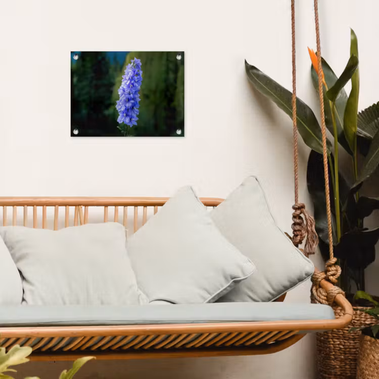 Tuinposter - Bloemen - Blauw - Dennenboom — 4