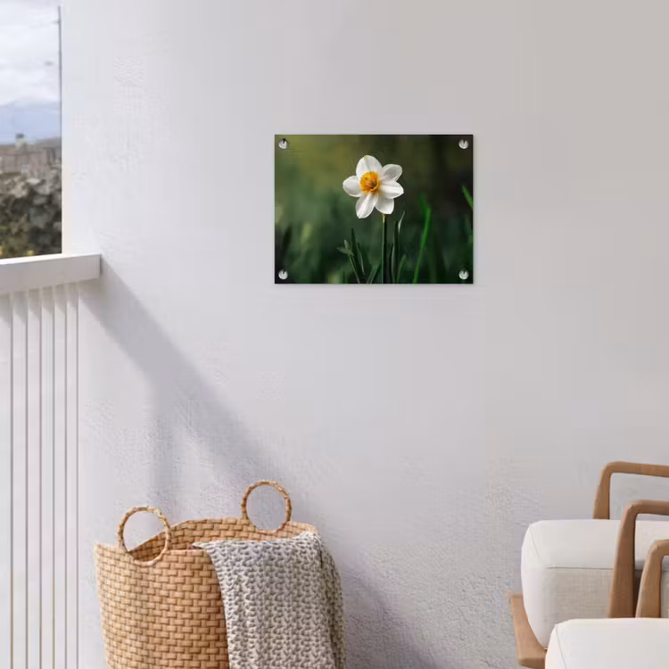 Tuinposter - Narcis - Bloem - Wit - Grassprieten — 5