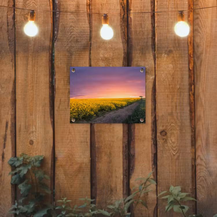 Tuinposter - Bloemen - Weg - Lucht - Geel - Paars - Zonsondergang - Natuur — 3