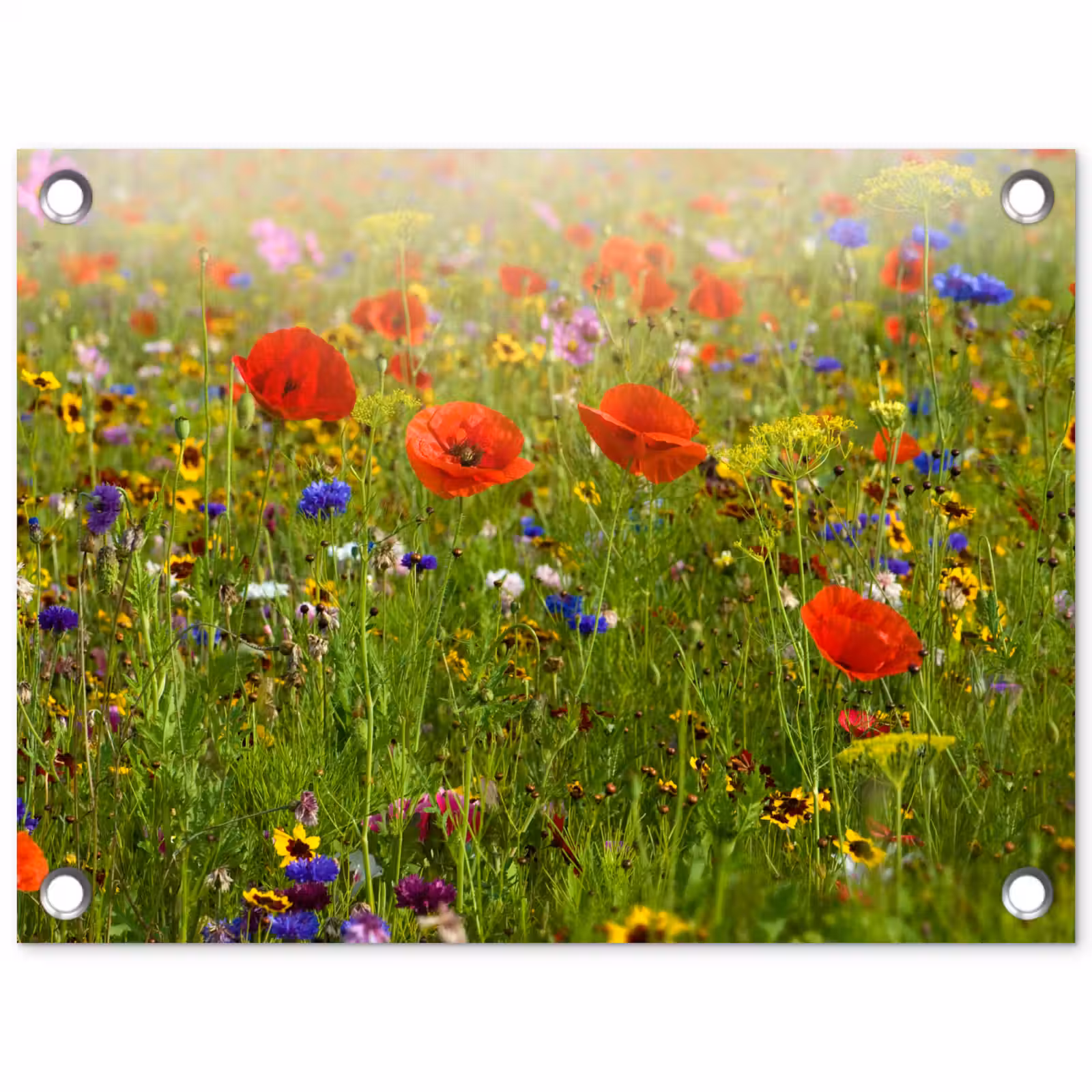 Tuinposter - Lente - Bloemen - Rood - Klaproos - Gras - Groen — 1