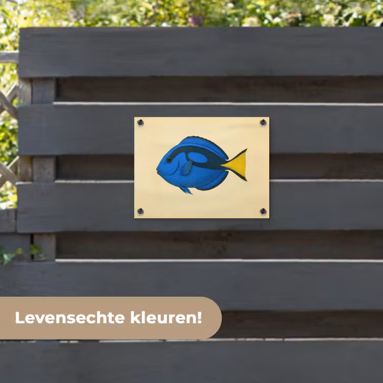 Tuinposter - Blauw - Dory - Vis - Staartvin — 6