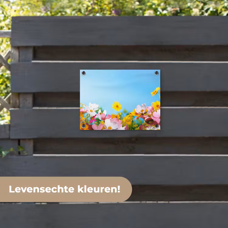 Tuinposter - Bloemen - Kleurrijk - Blauw - Natuur — 6