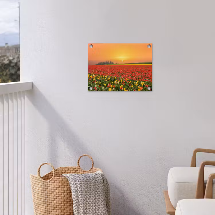 Tuinposter - Bloemen - Landschap - Tulpen - Zonsondergang — 5