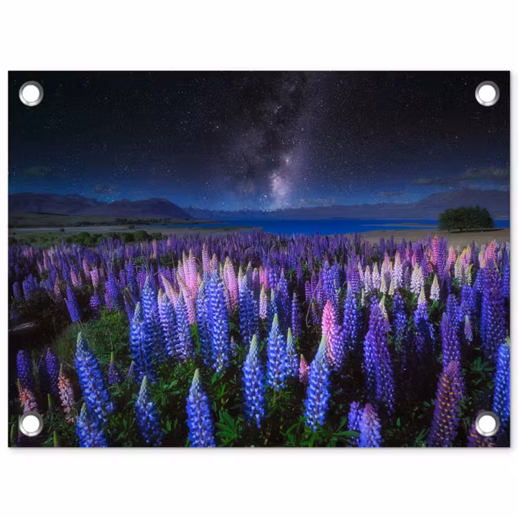 Tuinposter - Bloemen - Nacht - Lupine - Sterrenhemel - Paars - Natuur — 1