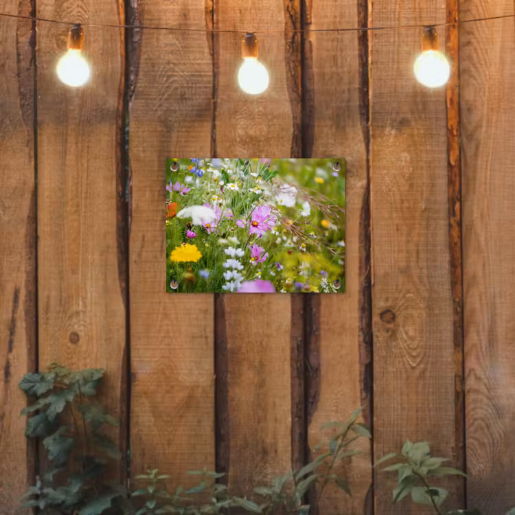 Tuinposter - Bloemen - Natuur - Groen - Gras - Paars - Wit — 3