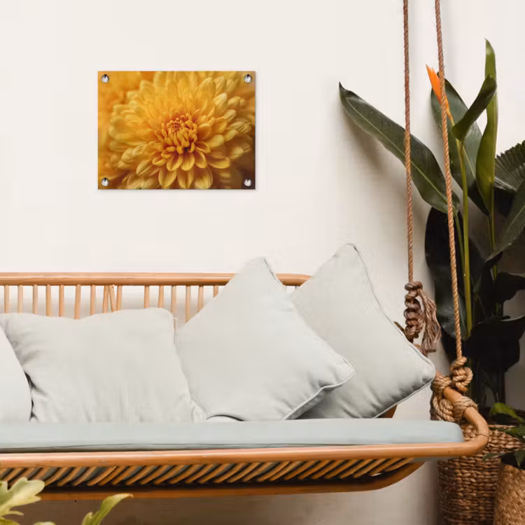 Tuinposter - Geel - Chrysant - Zachtheid — 4
