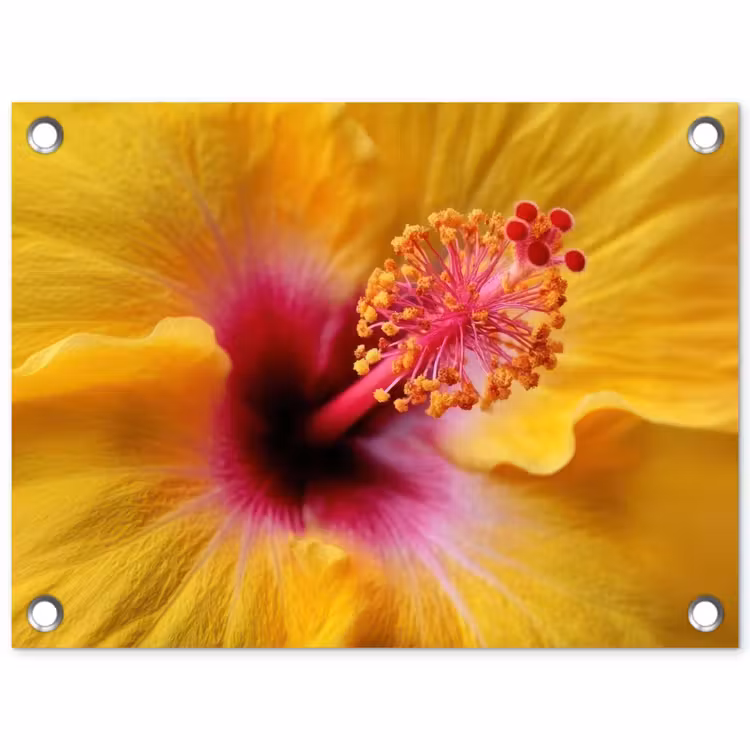 Tuinposter - Geel - Hibiscus - Tropisch — 1
