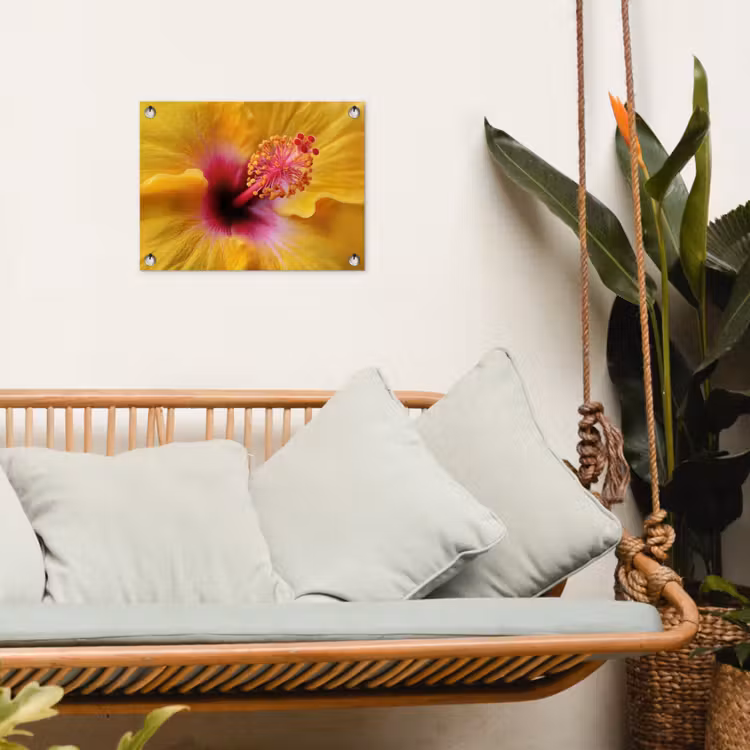 Tuinposter - Geel - Hibiscus - Tropisch — 4