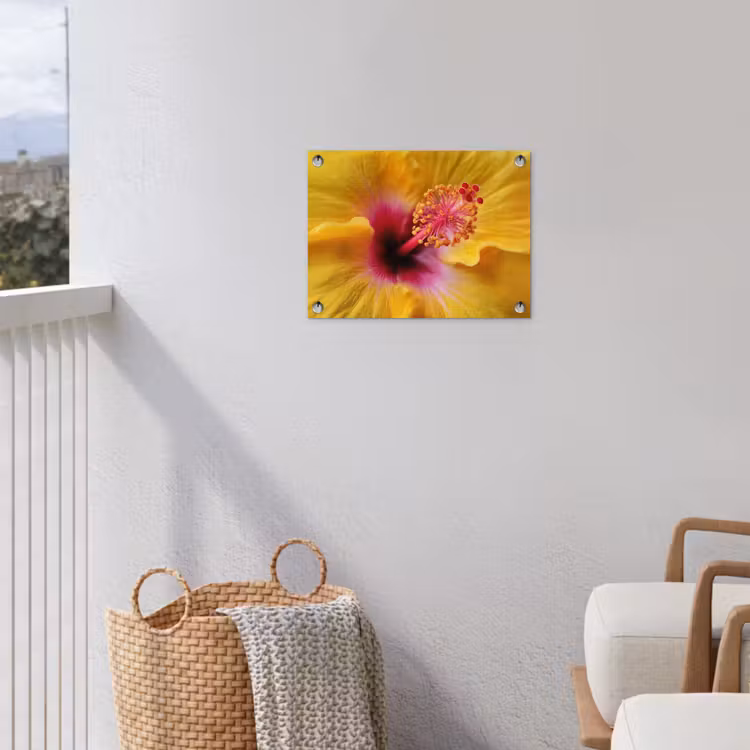 Tuinposter - Geel - Hibiscus - Tropisch — 5