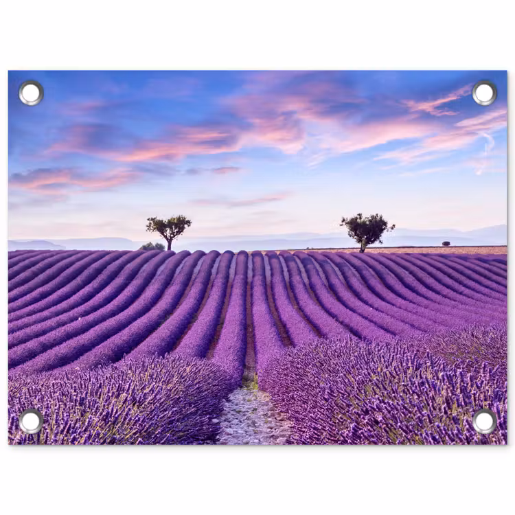 Tuinposter - Lavendel - Natuur - Paars - Bomen - Bloemen — 1