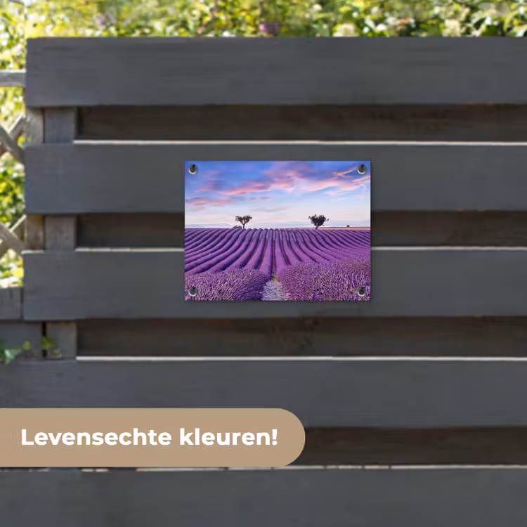 Tuinposter - Lavendel - Natuur - Paars - Bomen - Bloemen — 6