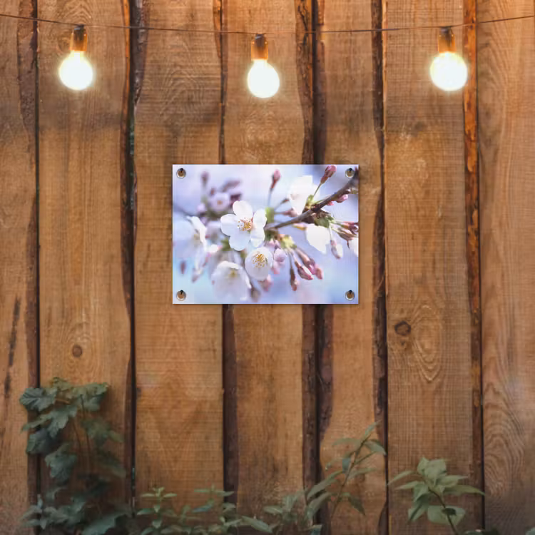 Tuinposter - Bloemen - Sakura - Tak - Bloesem takken — 2