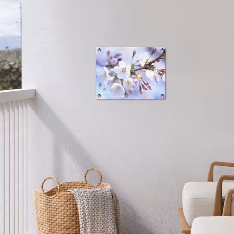 Tuinposter - Bloemen - Sakura - Tak - Bloesem takken — 5