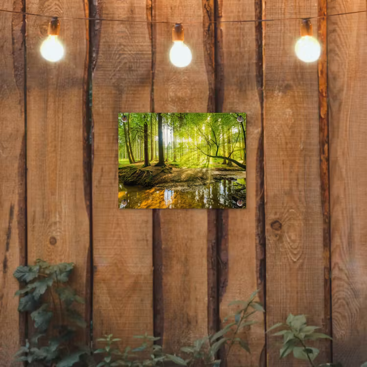 Tuinposter - Bos - Landschap - Water - Bomen - Zon - Groen - Natuur — 3