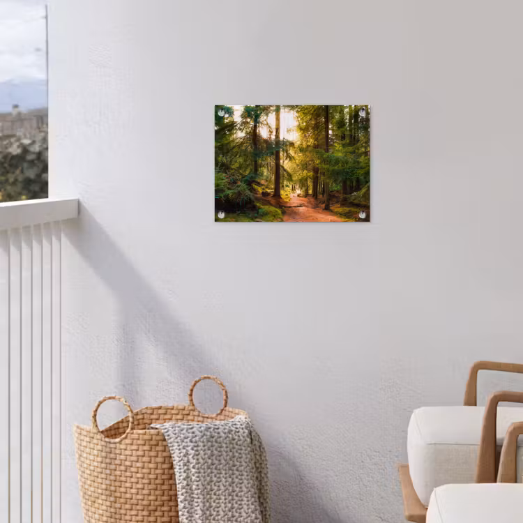 Tuinposter - Bos - Pad - Bomen - Groen - Zon - Natuur — 5