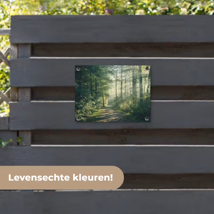 Tuinposter - Bos - Pad - Zon - Bomen - Groen - Natuur — 6