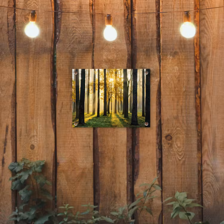 Tuinposter - Bos - Zon - Bomen - Gras - Landschap - Natuur — 3