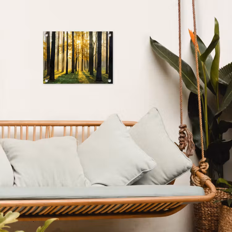 Tuinposter - Bos - Zon - Bomen - Gras - Landschap - Natuur — 4