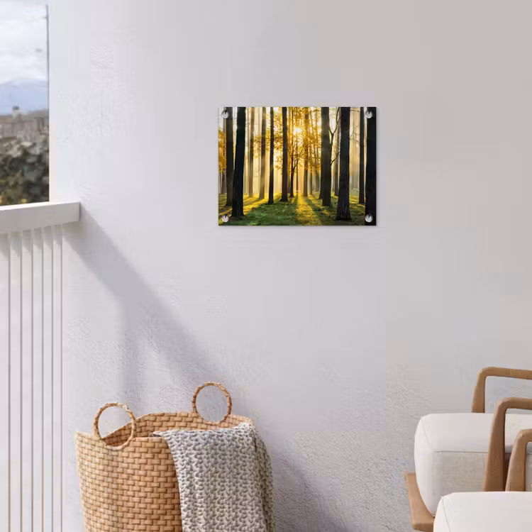 Tuinposter - Bos - Zon - Bomen - Gras - Landschap - Natuur — 5