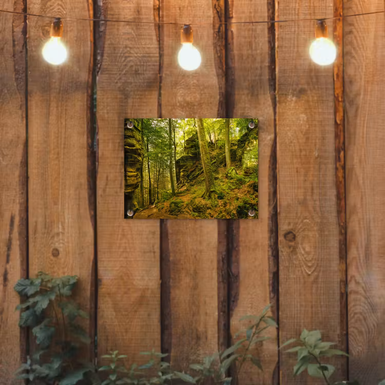 Tuinposter - Bomen - Steen - Bos - Natuur - Planten — 2