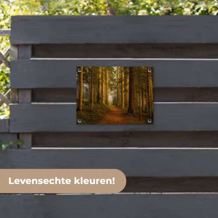 Tuinposter - Bos - Natuur - Bomen - Landschap - Bladeren — 6