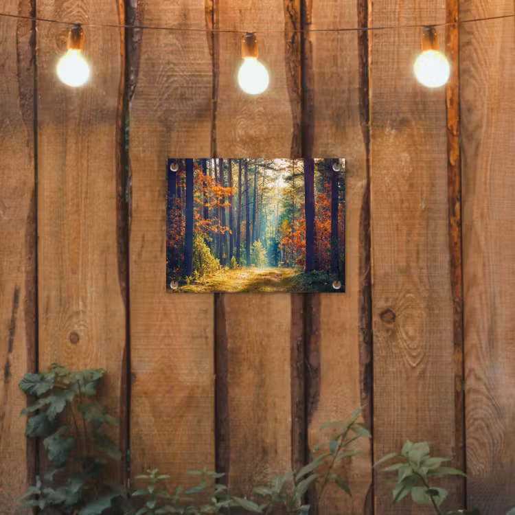 Tuinposter - Bos - Zon - Natuur - Herfst — 2