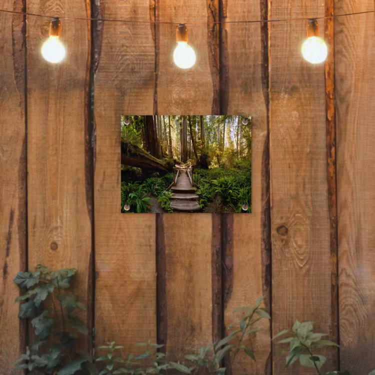 Tuinposter - Jungle - Natuur - Trap - Bomen — 3