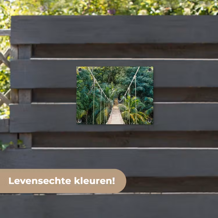 Tuinposter - Jungle - Palmboom - Brug - Natuur - Planten — 6