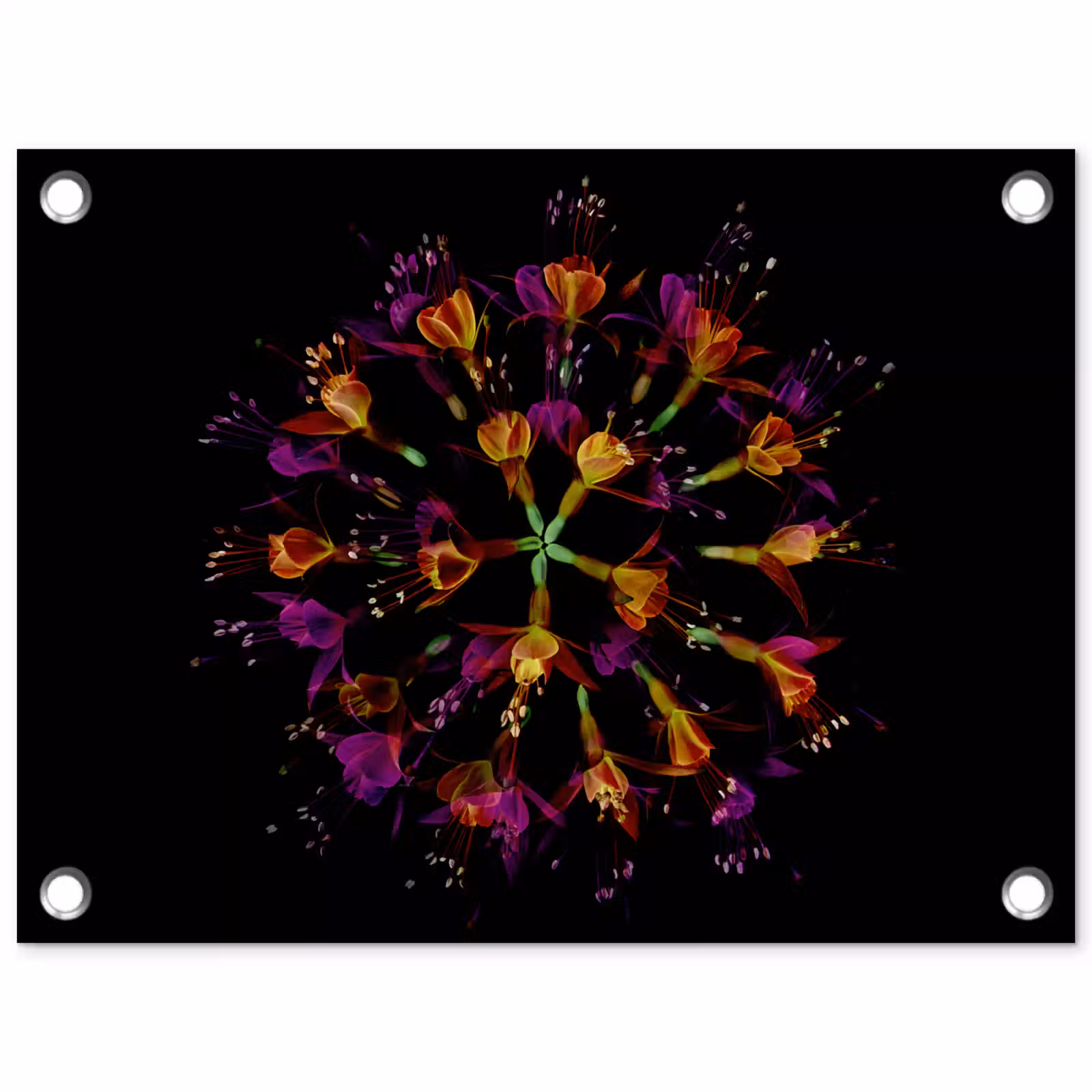 Tuinposter - Bloemen - Oranje - Roze - Zwart — 1