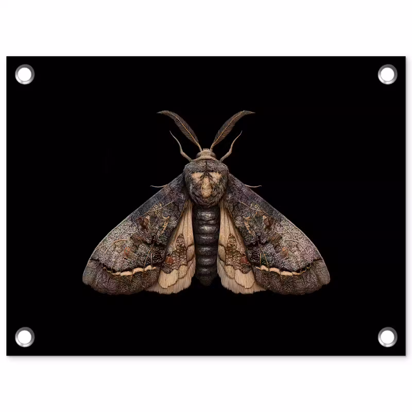 Tuinposter - Mot - Bladachtig - Grijs — 1