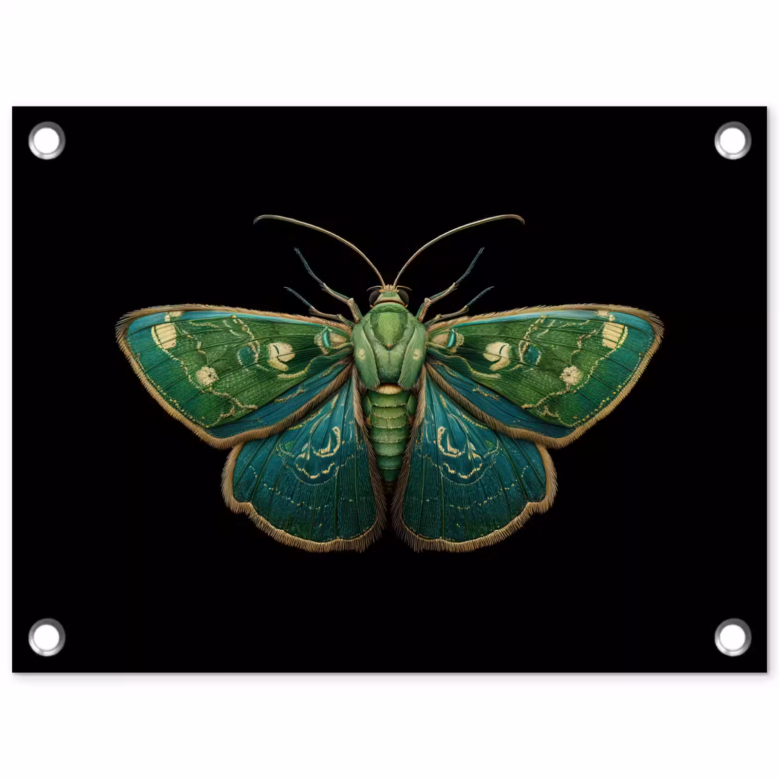 Tuinposter - Mot - Levendig - Groen — 1
