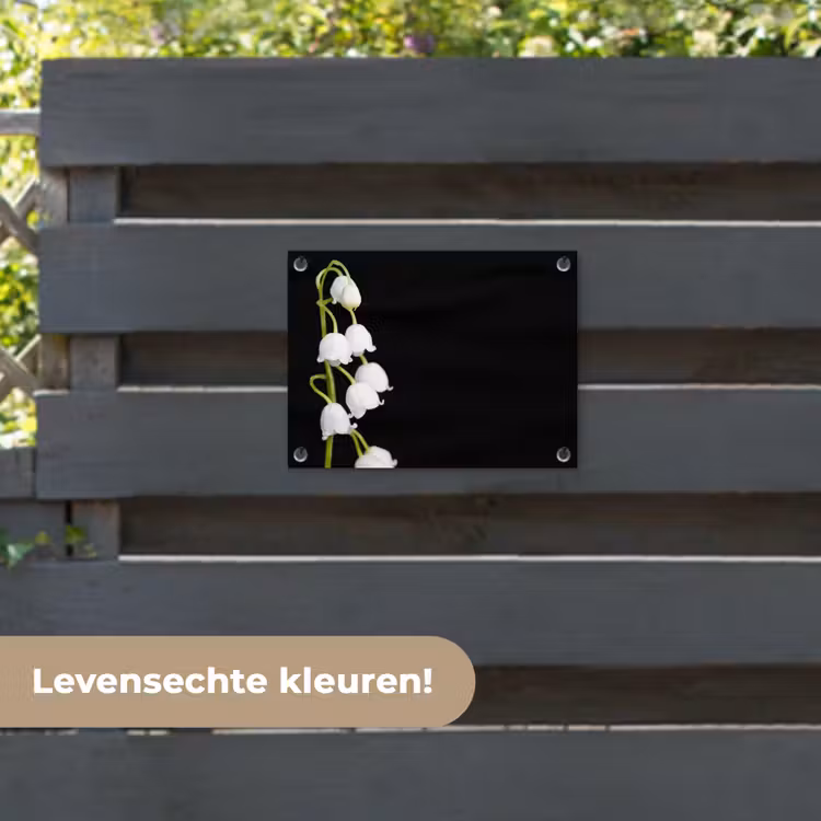 Tuinposter - Lelietjes van dalen - Bloemen - Zwart - Flora — 6