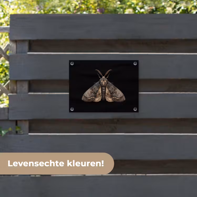 Tuinposter - Mot - Bladachtig - Grijs — 6