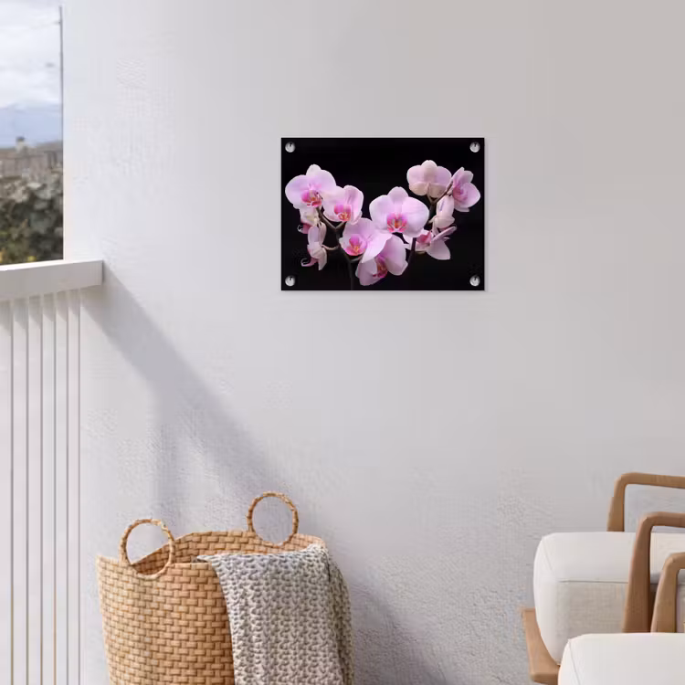Tuinposter - Orchidee - Bloemen - Roze - Flora — 5