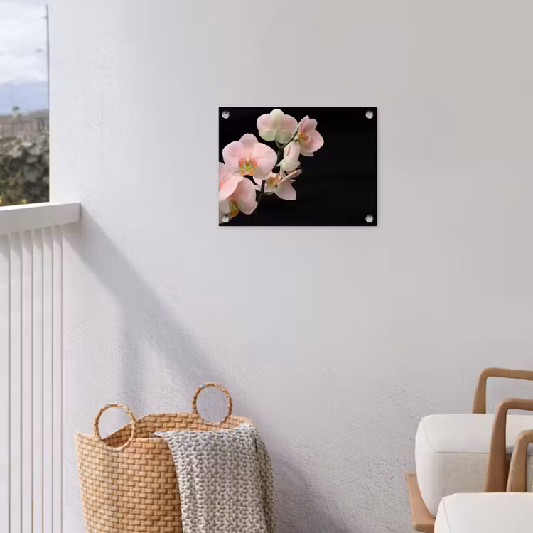 Tuinposter - Orchidee - Bloemen - Roze - Stilleven - Flora — 5