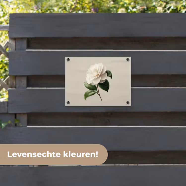 Tuinposter - Cameliabloem - Wit - Groen — 6