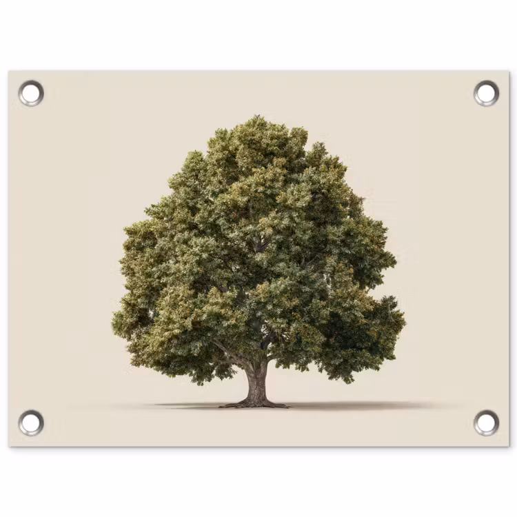 Tuinposter - Eikenboom - Groen - Lichte achtergrond — 1