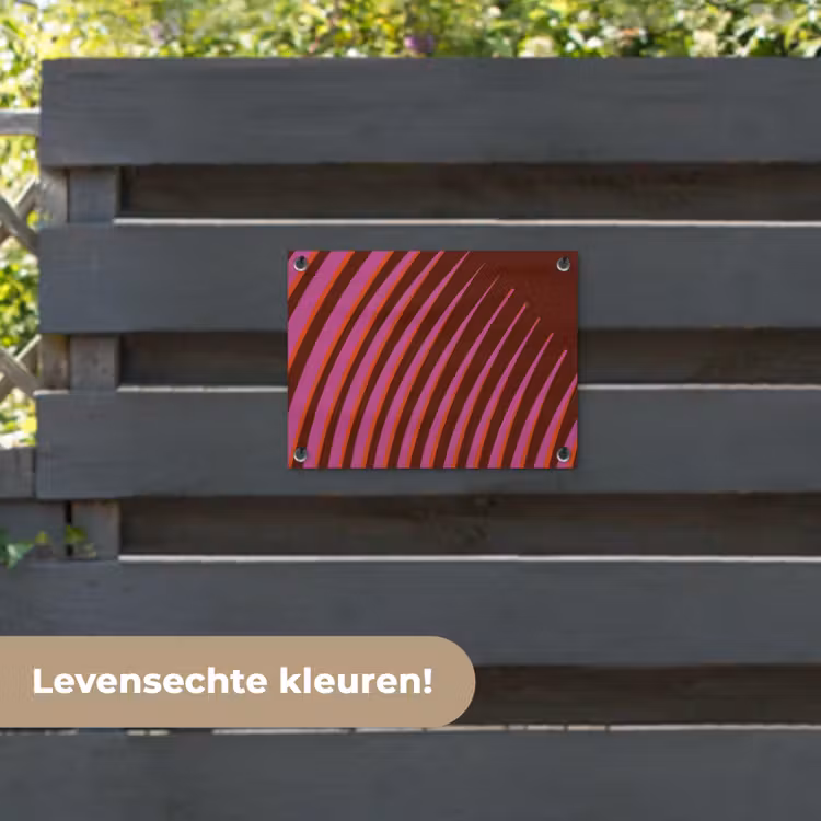 Tuinposter - Lijnen - Rood - Beweging — 6