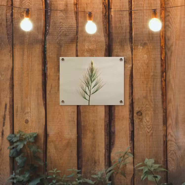 Tuinposter - Dennentak - Naaldvormige bladeren - Lichtgroen — 3