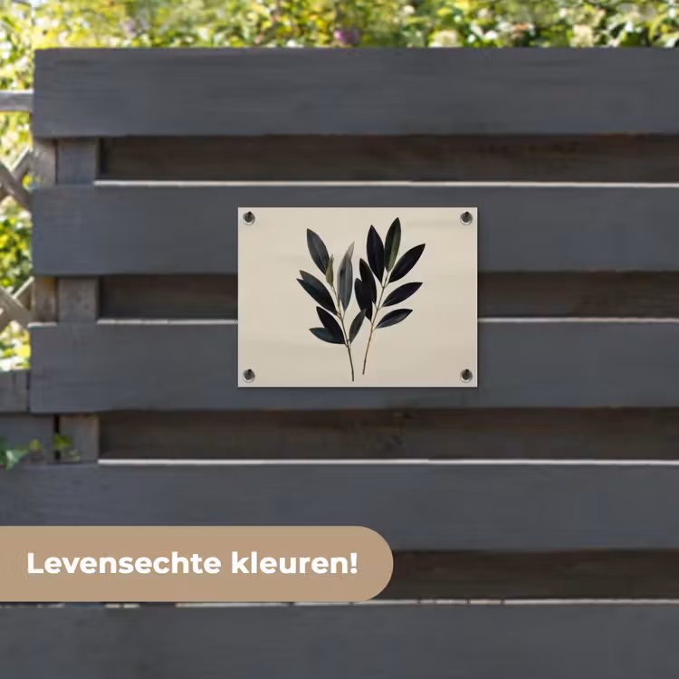 Tuinposter - Ovaalvormige bladeren - Diep groen - Symmetrisch — 6