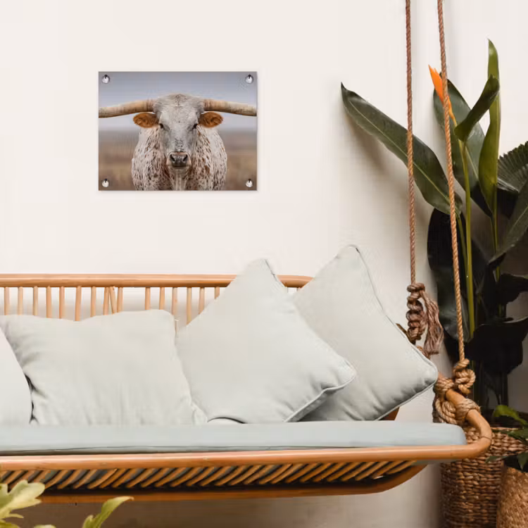 Tuinposter - Longhorn - Grasveld - Dier — 4