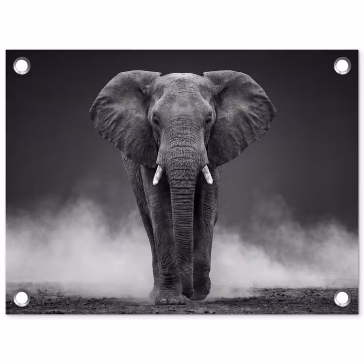 Tuinposter - Olifant - Zwart - Wit - Rook — 1