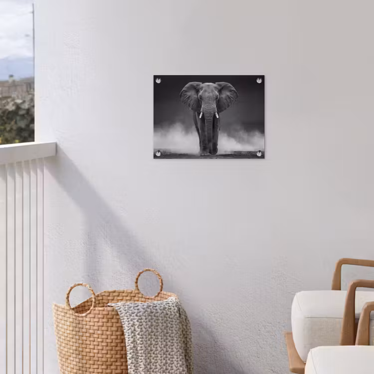 Tuinposter - Olifant - Zwart - Wit - Rook — 5