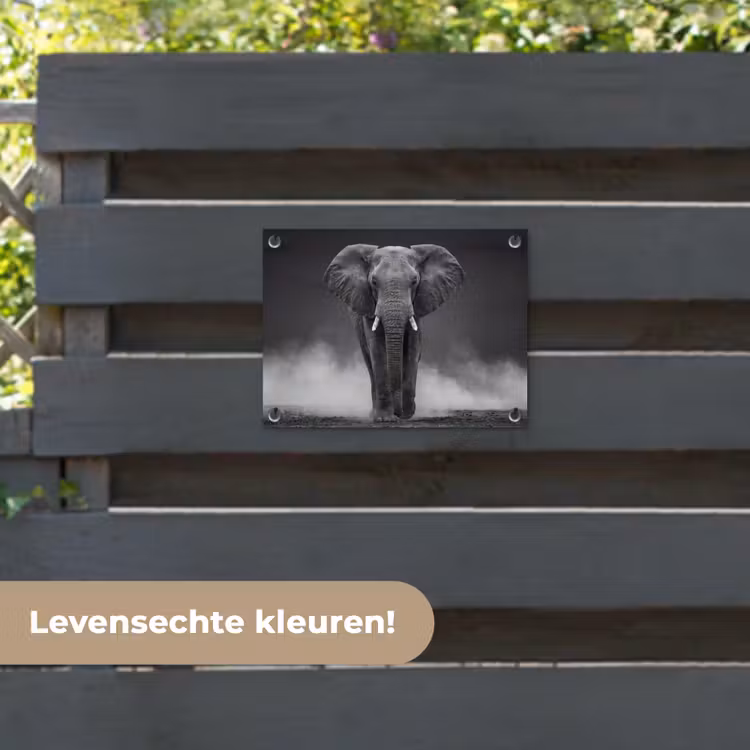 Tuinposter - Olifant - Zwart - Wit - Rook — 6