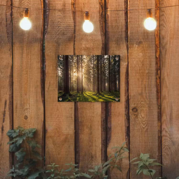 Tuinposter - Bos - Gras - Zonlicht — 3