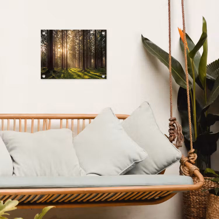 Tuinposter - Bos - Gras - Zonlicht — 4