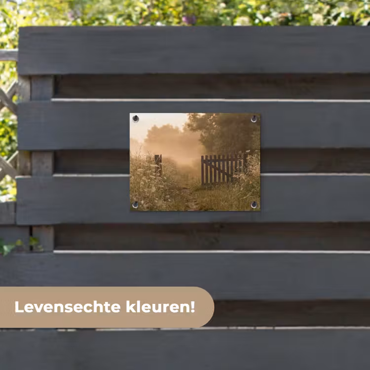 Tuinposter - Hek - Natuur - Mist - Veld — 6