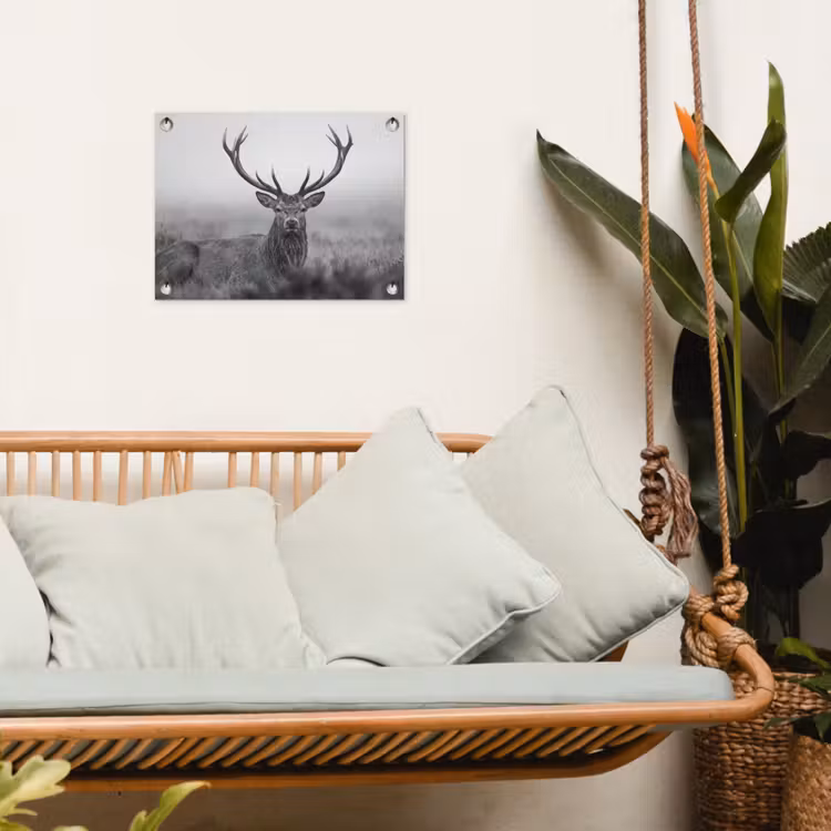 Tuinposter - Hert - Mistig - Zwart - Wit — 4